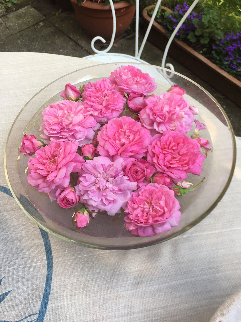 Bowl of roses