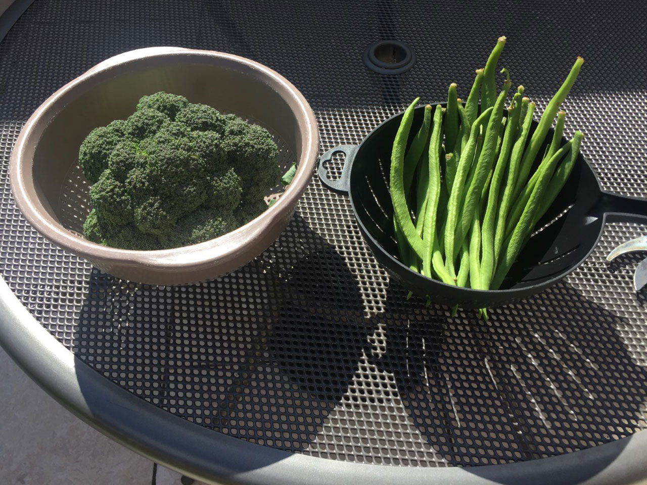 Seasonal vegetables broccoli runner beans
