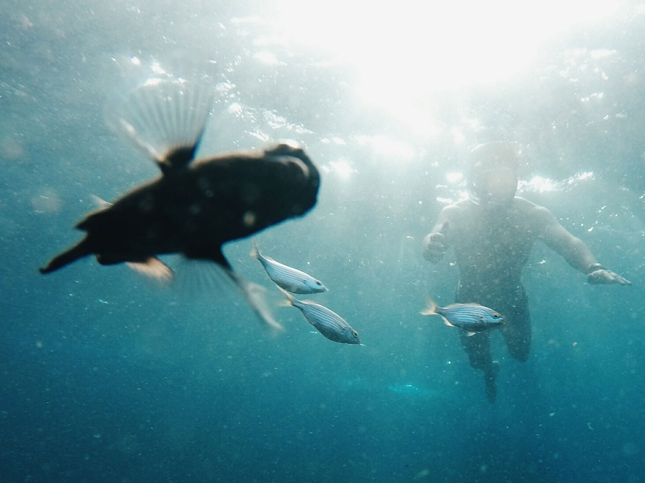 Snorkelling Mallorca