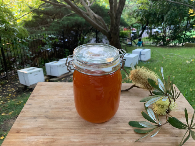 Raw organic honey from Snives Hives